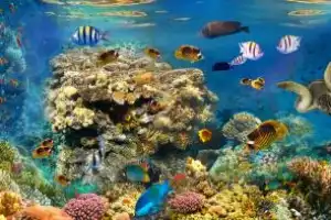 Прогулка из Хургады на красивой яхте по Красному морю - 2