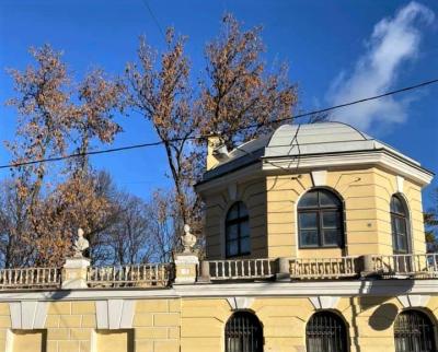 Судьбы дворцов и усадеб Петербурга - 10