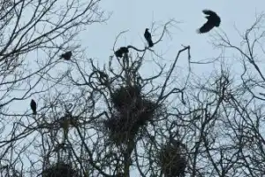 История и мистика древнего Смоленска - 4