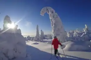 Зимняя сказка на один день: покорить сопку Волосяную в Кандалакше