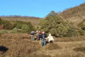 Из Анапы в заповедный Утриш - 3