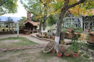 Из Тбилиси — в Сигнахи и Исторический музей Телави - 4