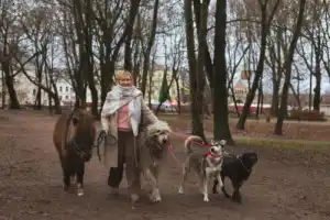 Влюбиться в Выборг за 2 часа! - 12