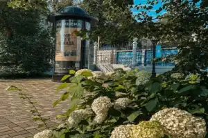 Влюбиться в Пермь: экскурсия с фотографом - 16