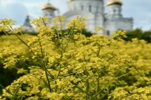 Из Перми — в Кунгур и Белогорье! - 16