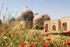 Вкусное путешествие в сердце Востока: Ташкент, Самарканд и Бухара в мини-группе - 3