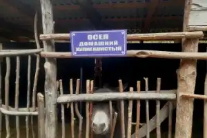 Влюбиться в Карачаево-Черкессию с первого взгляда - 14