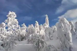 Сказки Пермского края: Усьвинские столбы и Каменный город - 2