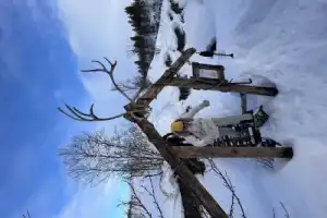 Кольский фьорд и великолепие водопадов - 18