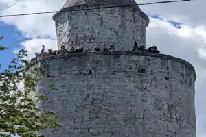 Прогулка по самым интересным местам Касимова - 6
