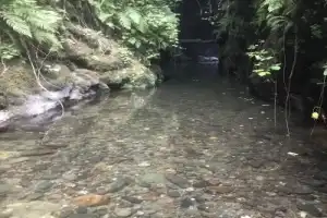«Врата рая»: поход к скрытому водопаду и обед в старинной усадьбе - 5