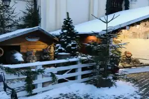 Прага — Карловы Вары: экскурсия в уютный город-курорт - 9