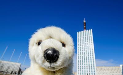 Архангельск — первое окно России в Европу - 5