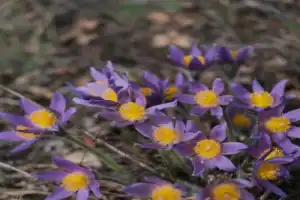 Три вершины Жигулёвских гор: Молодецкий Курган, Отважная и Шишка - 3