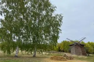 Музей «Хохловка»: избы, башни, купола - 10