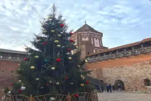 Замки Беларуси: Мир, Несвиж, Новогрудок, Любча и Лида - 4