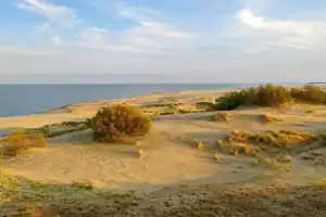История и легенды Куршской косы с гидом-писателем без пробок и толп - 2