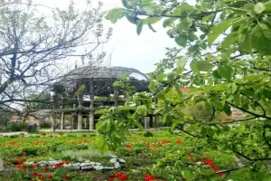 Воронеж — город воинской славы - 2