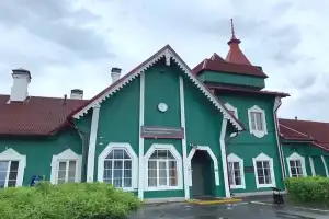 Медвежьегорск и голуби — на вашем авто - 6