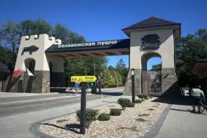 Из Бреста — в Беловежскую пущу - 10