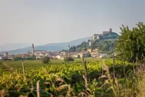 Винная экскурсия: Soave — вино любви - 9