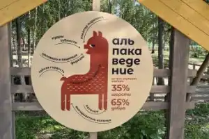 В Свияжск + в гости к альпакам - 3