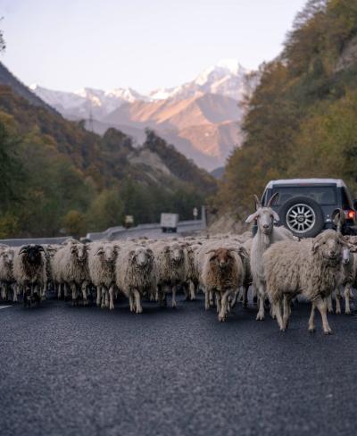 Древняя и загадочная Северная Осетия - 11