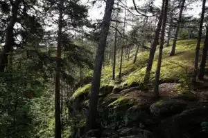 Два берега Онежского озера (из Петрозаводска) - 6