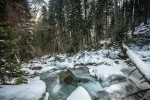 Треккинг к Белому водопаду - 6