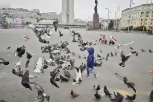 Город у моря — Владивосток - 7
