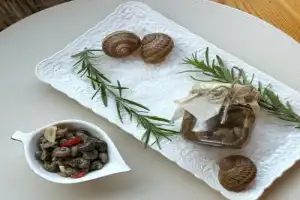Экскурсия по улиточной ферме в Сочи - 21