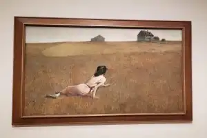 Музей МоМА с искусствоведом - 4