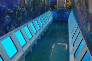 Морская прогулка на яхте со стеклянным дном - 2