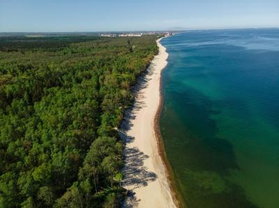 Куршская коса вдоль и поперёк Куршская коса вдоль и поперёк