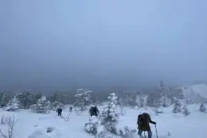 Кандалакша и Белое море с горы Волосяной — путешествие из Мурманска - 4