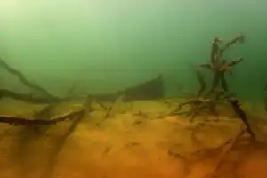 Необычный день в Янтарном — на воде и под водой (из Калининграда) - 2