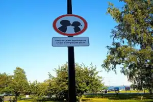 Обзорная экскурсия «Петрозаводск и мировой кинематограф» - 7