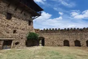 Две Кахетии за 1 день: пещерный монастырь Давид-Гареджи, пустыня и город Сигнаги - 5