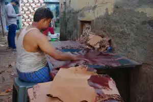 Две стороны Мумбаи: Болливуд и трущобы Дхарави - 6