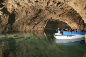 Сокровища Венского леса - 2