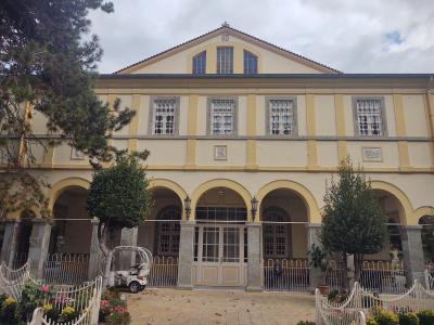 Из Стамбула — на Принцевы острова! - 6