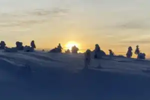 Арктическая экзотика: на снегоступах — по беломорской тундре - 9