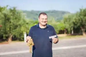 Винная экскурсия: Soave — вино любви - 6