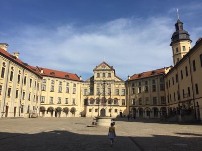 Из Минска — в старинные замки Мир и Несвиж! - 9