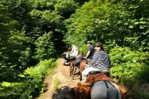 В самом сердце Кахетии: горы, лошади и застолье В самом сердце Кахетии: горы, лошади и застолье