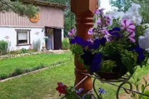 Во Пскове быть — бумагу лить - 17