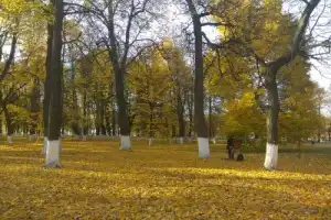 По Владимиру с гидом-историком - 11