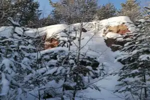 Вепсская земля: каменные карьеры, храм и этномузей - 20