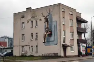 Пенная история Лиды Пенная история Лиды