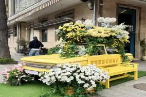 Батуми от А до Я: главное о городе за одну прогулку - 4